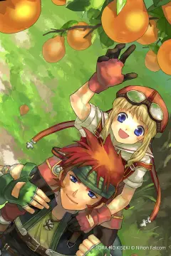 预览