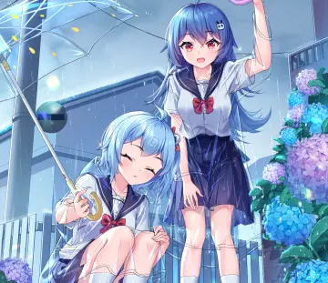预览