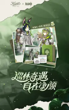 预览