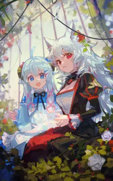预览