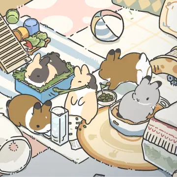 预览