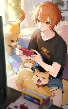 预览