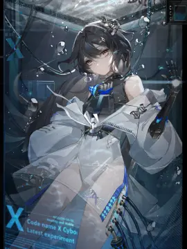 预览