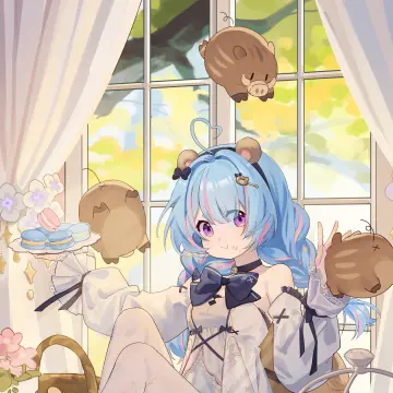 预览