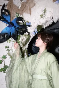 预览