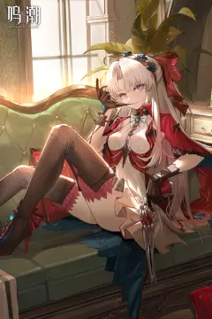 预览