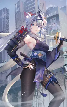 预览