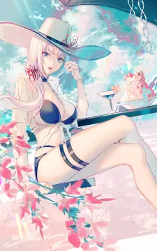 预览