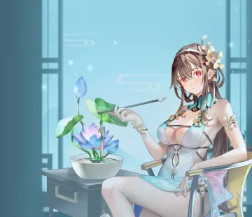 预览