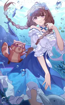 预览