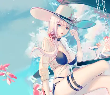 预览