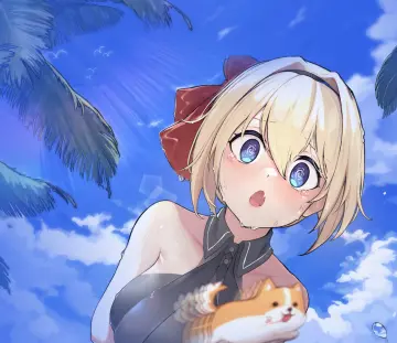 预览