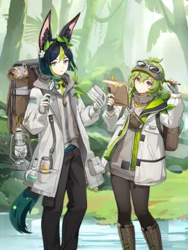预览