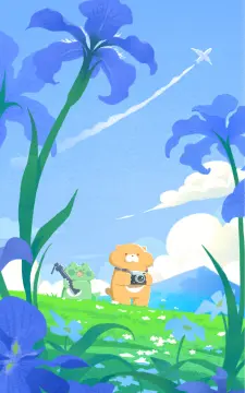 预览