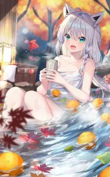 预览