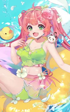 预览