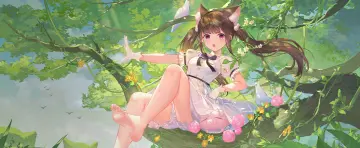 预览