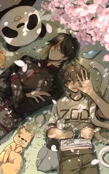 预览