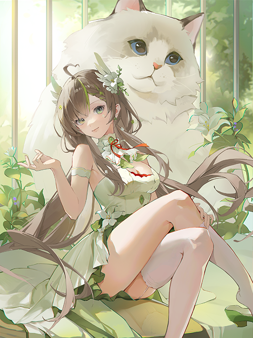 背景