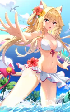 预览