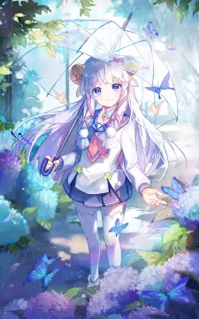 预览