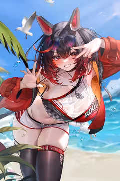 预览