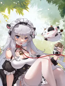 预览