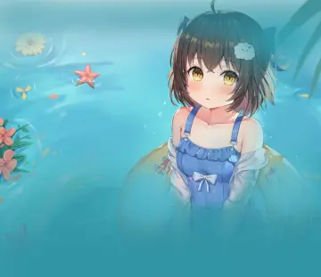 预览