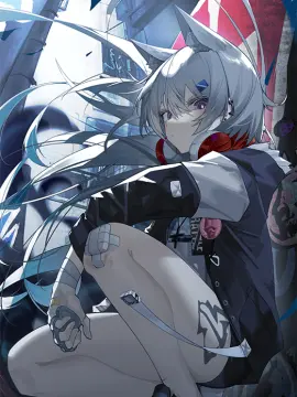 预览