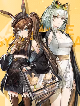 预览