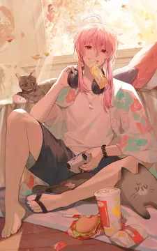 预览