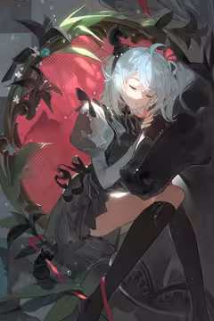 预览