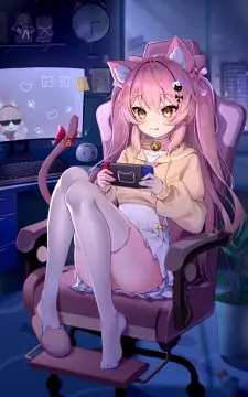 预览