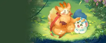 预览