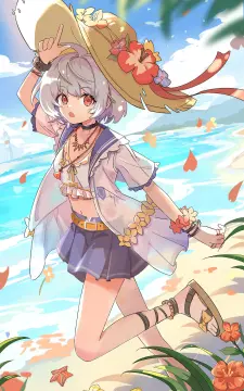 预览