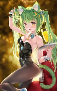 预览
