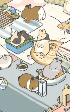 预览