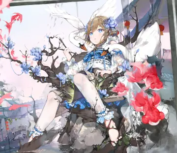预览