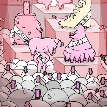 预览