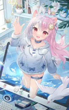 预览