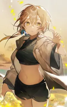 预览