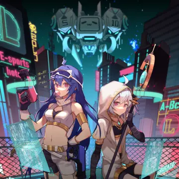 预览