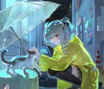 预览