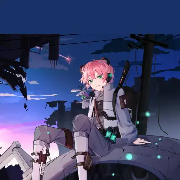 预览