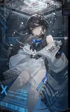 预览