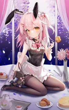 预览