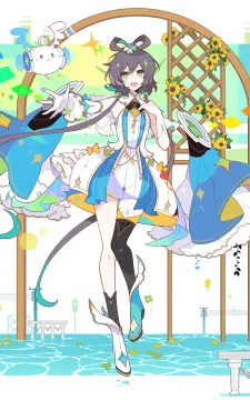 预览