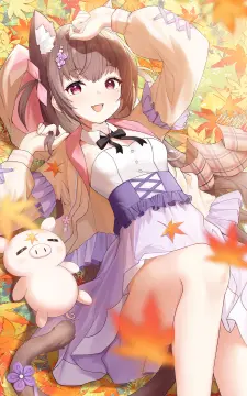 预览