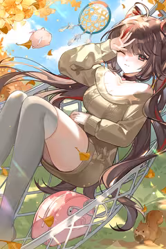 预览