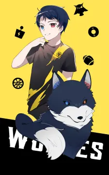 预览